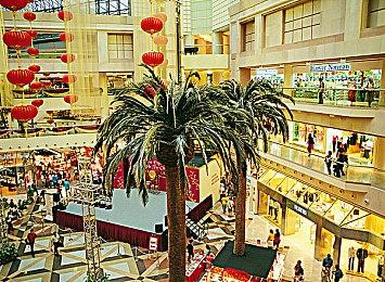 Epic喜加二：《Paradigm》《模拟老大爷》免费领